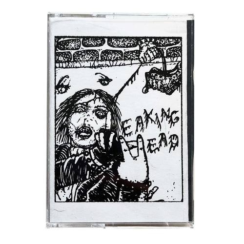 Leaking Head: 2024 cassette