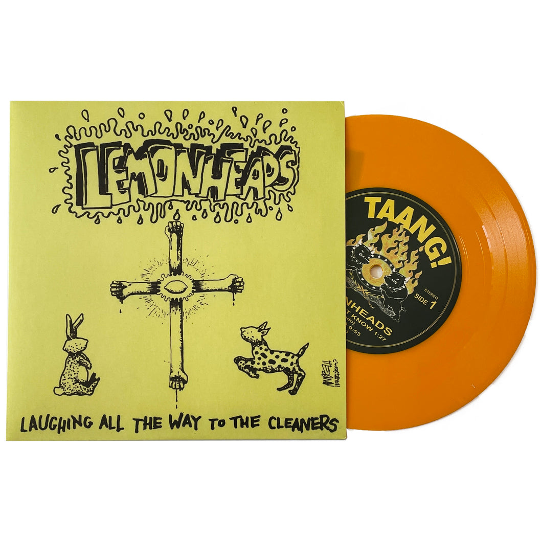 The Lemonheads: Laughing All The Way To The Cleaners 7
