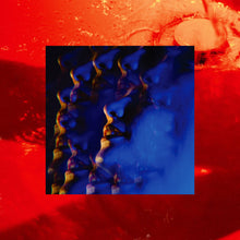 Little Hag: Leash 12"