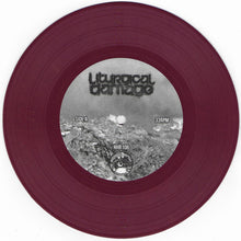 Liturgical Damage: Social Martyr 7"