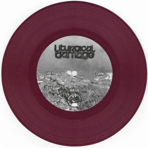 Liturgical Damage: Social Martyr 7"