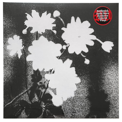 Loma Prieta: Last 12