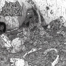 Lurid Panacea: The Insidious Poisons CD
