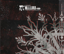 Mammoth Weed Wizard Bastard: Y Proffwyd Dwyll CD