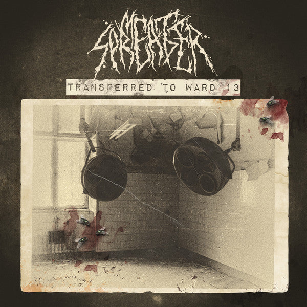 Meat Spreader / Archagathus: Split 12