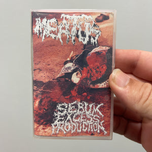 Meatus / Sebum Excess Production: split cassette