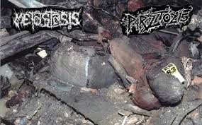 Metastasis / Parazitózis: Split cassette