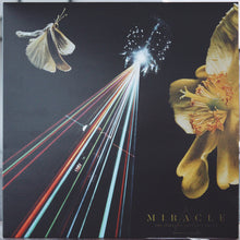 Miracle: The Strife Of Love In A Dream 12"