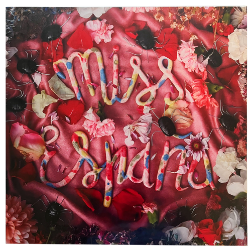 Miss España: Niebla Mental 12