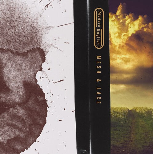 Modern English: Mesh & Lace 12