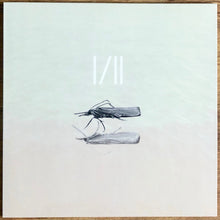 Mol: I/II 12"