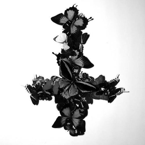 Monarch: Never Forever CD