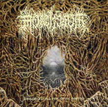 Mortiferum: Disgorged From Psychotic Depths CD