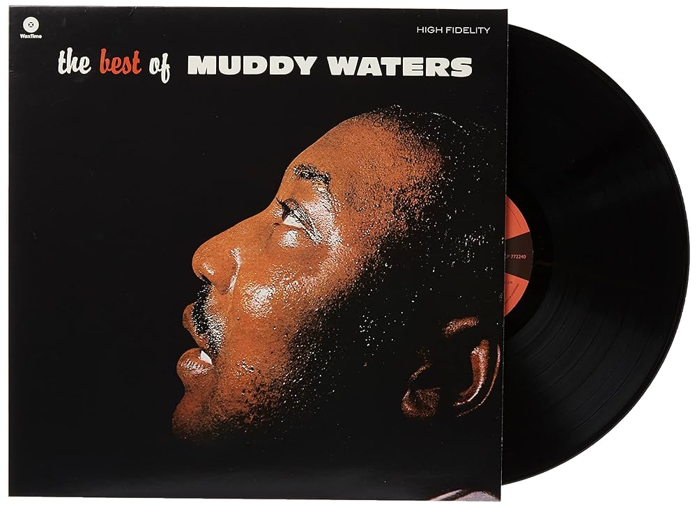 Muddy Waters: Best Of 12