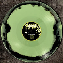 Nekrofilth: Worm Ritual 12"