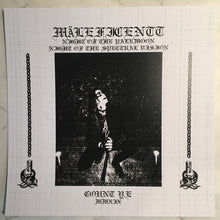 Mäleficentt: Night Of The Palemoon & Night Of The Spectral Vision 12"