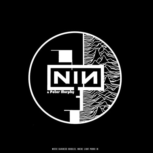 Nine Inch Nails / Peter Murphy: Where Darkness Doubles, Where Light Pours In 12