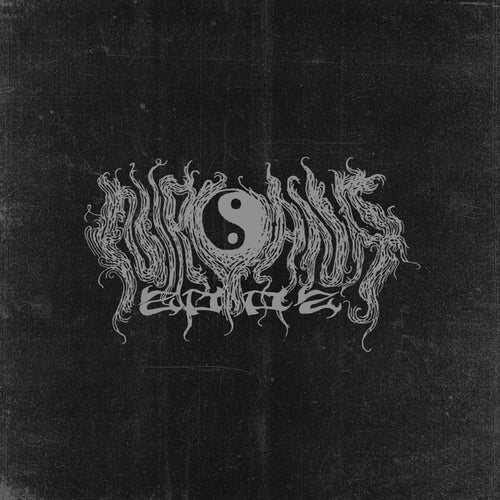 Nirvana 2002: Recordings 89-91 12