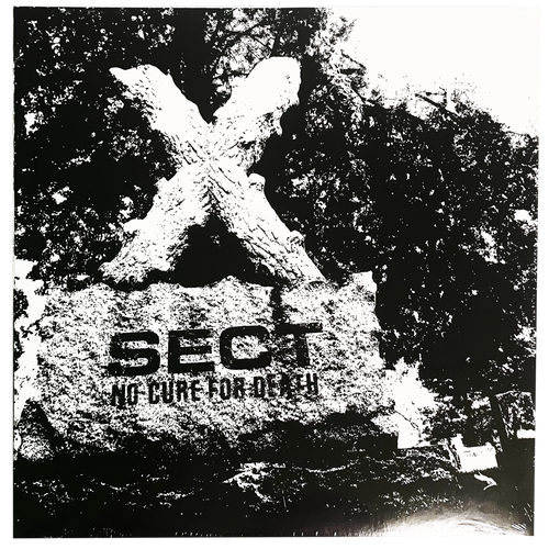 Sect: No Cure For Death 12