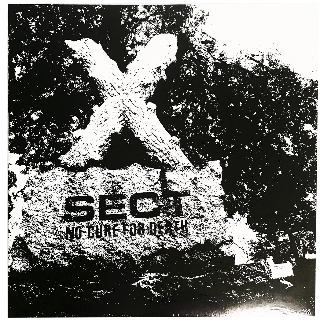 Sect: No Cure For Death 12
