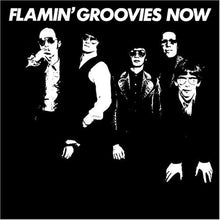 Flamin' Groovies: Now 12"