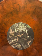 Cerebral Engorgement: Cerebral Chronicles 12"