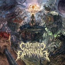 Cerebral Engorgement: Cerebral Chronicles 12"