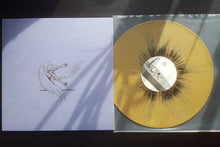 Ostraca: Last 12"