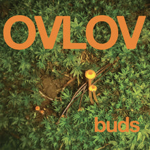 Ovlov: Buds 12"