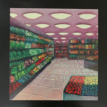 Palehound: A Place I'll Always Go 12"