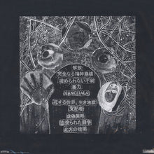 Paranoid: Satyagraha 12"