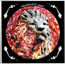 Parlamentarisk Sodomi / Gynekologene: Split 7"