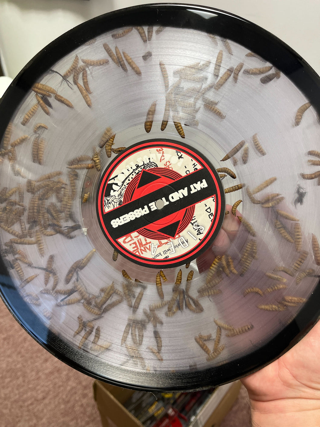 Pat and the Pissers SOIL/America's Dream 12" Sorry State Records