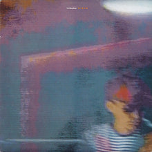 Pet Shop Boys: Disco 12"