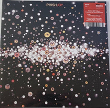 Phish: Joy 12"