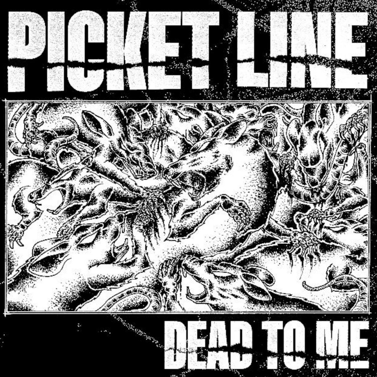 Picket Line: Dead To Me 12