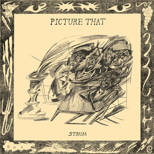 Picture That: Strum 12"