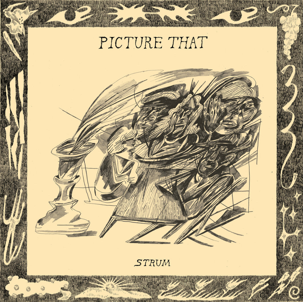 Picture That: Strum 12