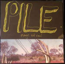 Pile: Magic Isn't Real 12"