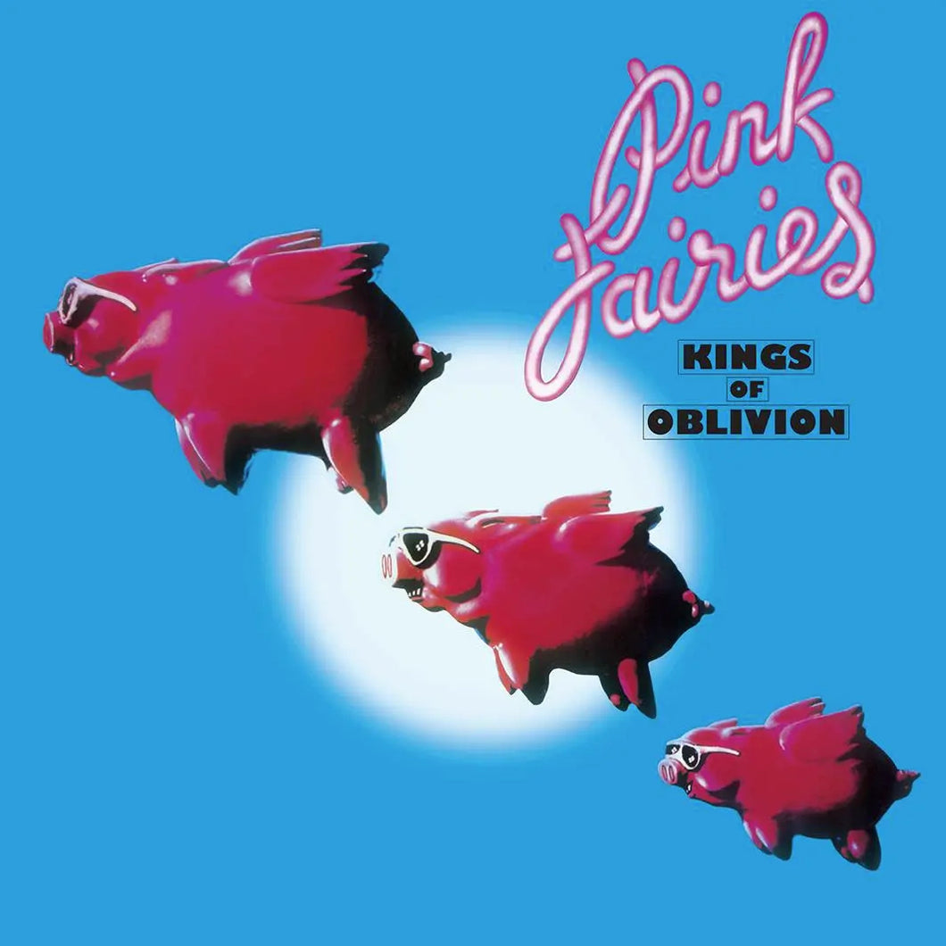 Pink Fairies: Kings Of Oblivion 12