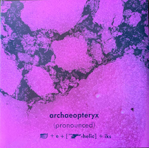 Archaeopteryx: (Pronounced) 12