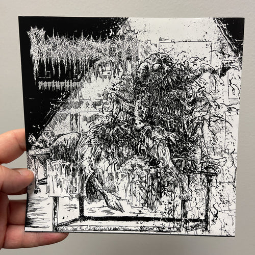 Ptomatopsiaa: Parturition 7