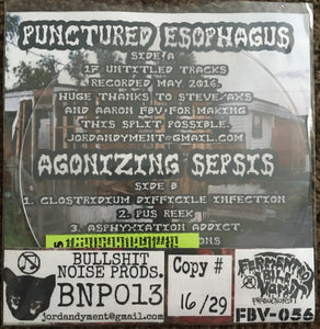 Punctured Esophagus / Agonizing Sepsis: Split 7"