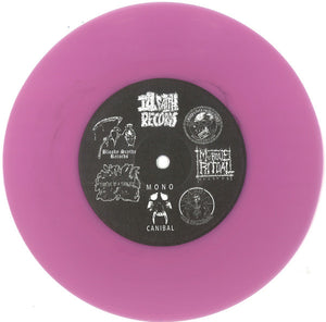 Radiation Vomit / Heinous: Split 7"