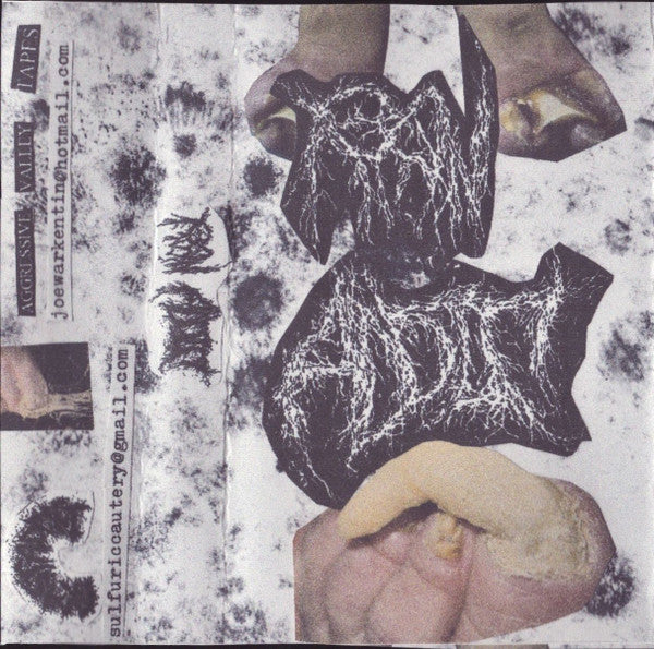 Raw Addict: Demo II cassette