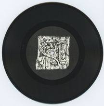 Rigorous Institution: The Coming Of The Terror 7"