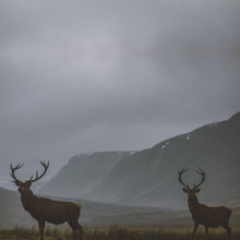 Robert Farrugia: Adrift 12"