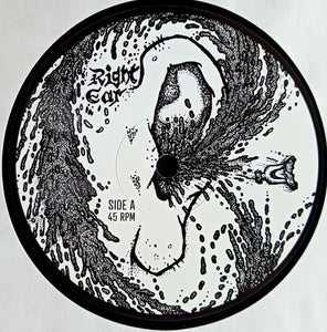 Rot: Organic 12"