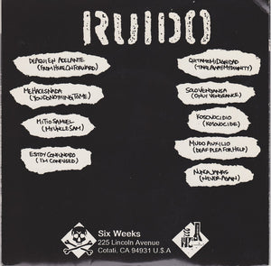 Ruido: De Aqui En Adelante 7"