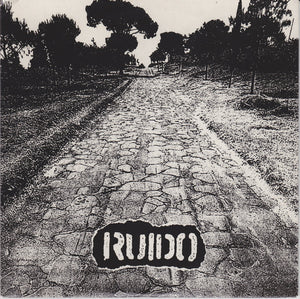 Ruido: De Aqui En Adelante 7"